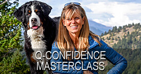 https://www.cleanrun.com/product/q_confidence_masterclass_self_study_course/index.cfm